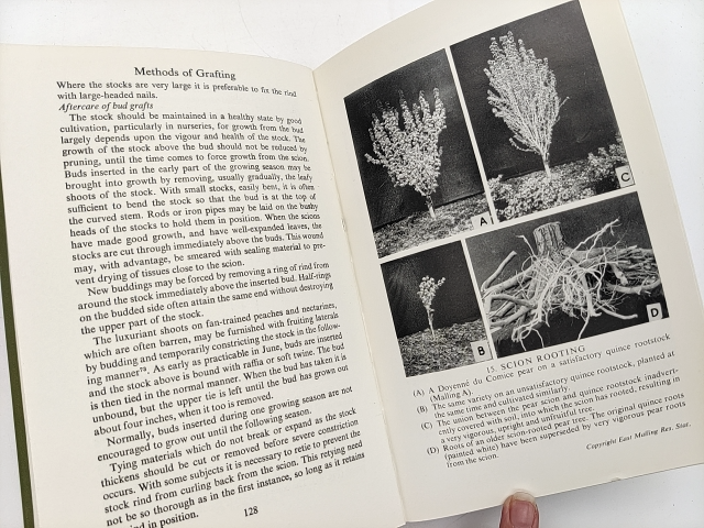 Grafter's Handbook by R.J. Garner (Cloth, 1967) Natural History by R.J. Garner