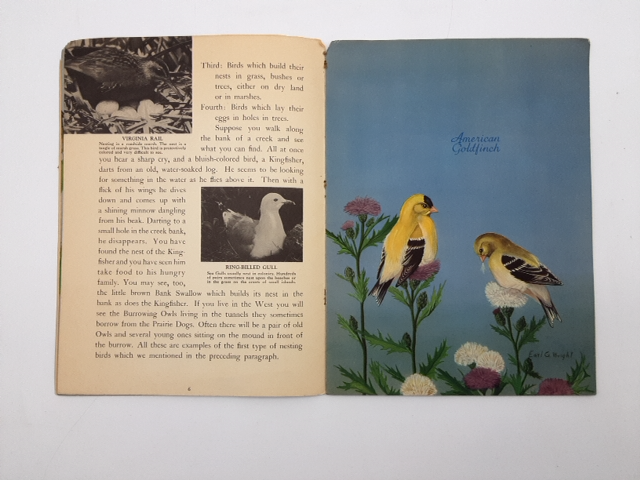 At Home With the Birds: A Book on Nesting Habits by Alfred M Bailey, Ornithology by Alfred M Bailey