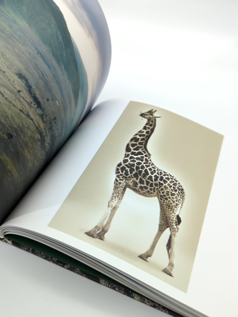 Wild Things by Jaschinski (Hardcover, 1999) Animal Photography Coffee Table Book by Britta Jaschinski
