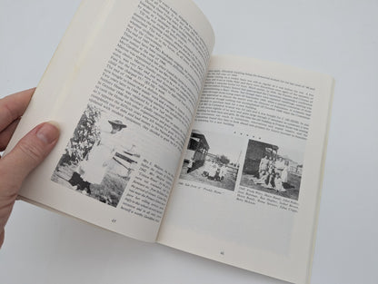 Sigh Not The Past by Mavis Geddes (Paperback, 1986) 1st Ed, Western Australia by Mavis Geddes