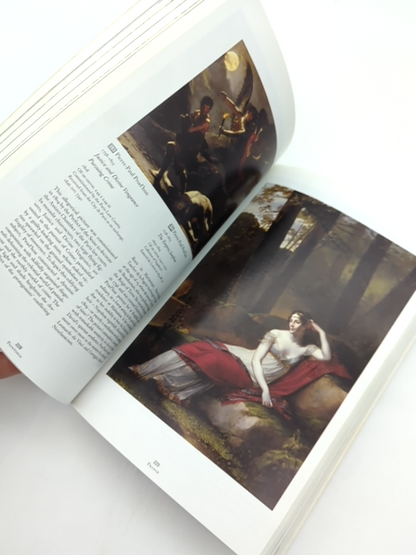 Guide To The Louvre by Collectif (Paperback, 2005) Art Museum, Paintings by Collectif