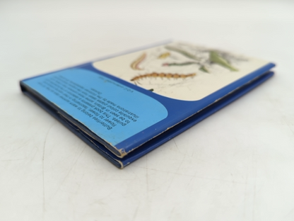 Butterflies. by James Duncan (Hardcover, 1981) Minature Illustrated Book by James Duncan