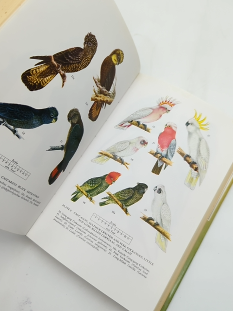 Australian Parrots In Field And Aviary by Alan Lendon (Hardcover, 1979) Birds by Alan Lendon