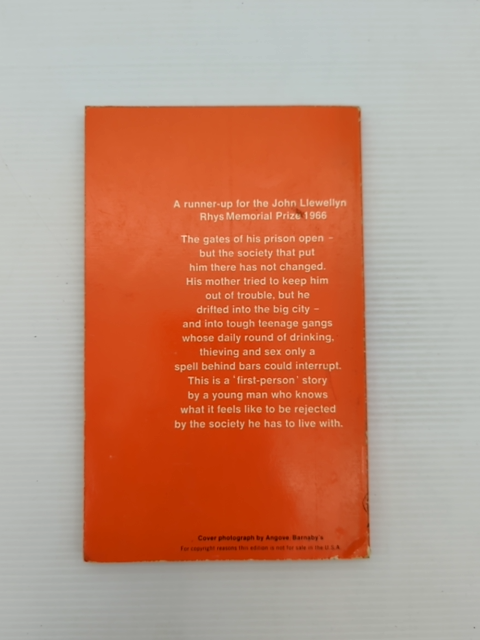 Wild Cat Falling by Colin Johnson (Paperback, 1966) by Colin Johnson