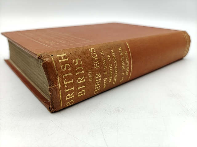 British Birds and Their Eggs by J Maclair Boraston RARE 1928 Nature by "J Maclair Boraston"