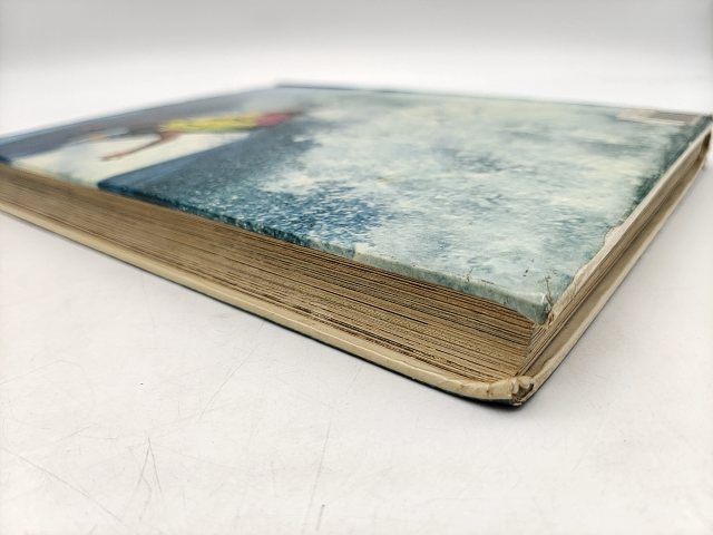 The Next Wave: Survey Of World Surfing by Nick Carroll (Hardcover, 1993) Surfing by Nick Carroll