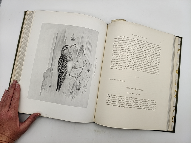 British Birds, Their Nests and Eggs Vol. 5 by W B Tegetmeier & Henry Slater 1897 by W B Tegetmeier Henry H Slater