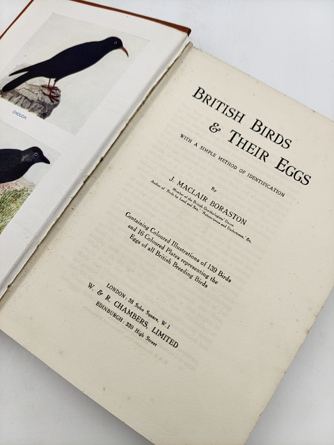 British Birds and Their Eggs by J Maclair Boraston RARE 1928 Nature by "J Maclair Boraston"