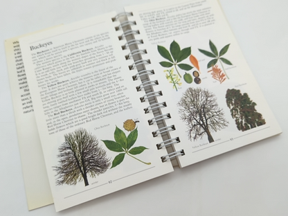 Trees (american Nature Guides) by Alan Mitchell (Paperback, 1990) Botany by Waterford Press Staff