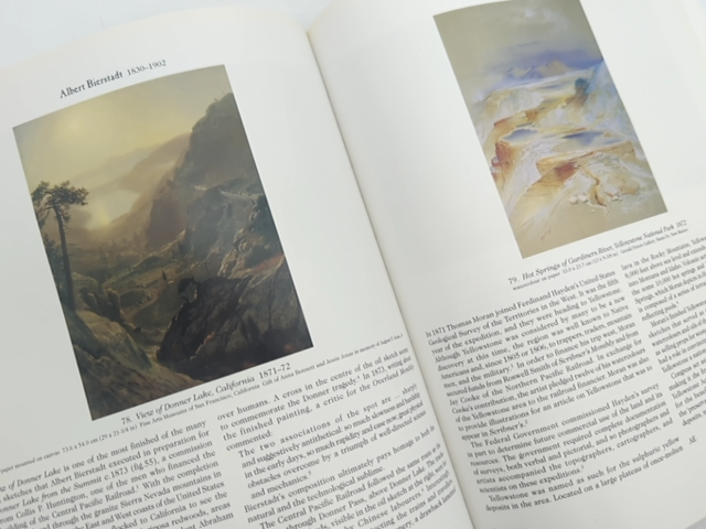 New Worlds From Old by Elizabeth Johns 1998 19th Century Landscapes Art History by Andrew Sayers
