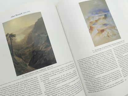New Worlds From Old by Elizabeth Johns 1998 19th Century Landscapes Art History by Andrew Sayers