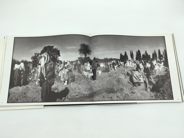 DZ Bank Art Collection, Germany, Photography Catalogue book by Enno Kaufhold by Luminita Sabau