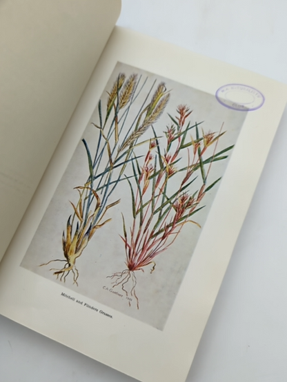 Flora Of Western Australia by C A Gardner (Hardcover, 1952) by C A Gardner