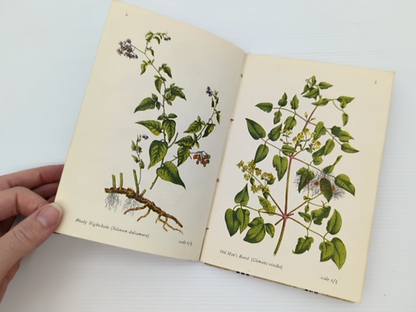 Flowers Of The Woods by E J Salisbury (Hardcover, 1946) by E J Salisbury