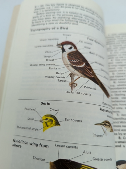 The Collins Guide to the Birds of Britain and Europe (Collins Pocket Guide), Her by Hermann Heinzel