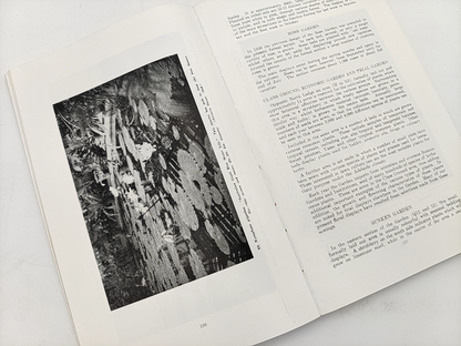 The Botanic Garden Adelaide by Max Lamshed (Softcover, Wraps, 1955) by Max Lamshed