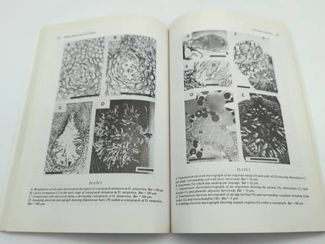 Proceedings of the Symposium on Macquarie Island, Held At the University of Tasm by Maxwell R. Banks