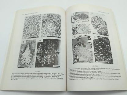 Proceedings of the Symposium on Macquarie Island, Held At the University of Tasm by Maxwell R. Banks