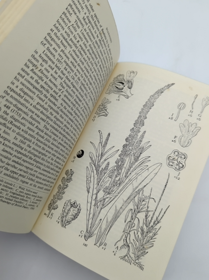 Botanical Latin by William T Stearn (Cloth, 1966) Science & Medicine by William T Stearn