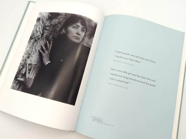Modern Nature:georgia O'keeffe And Lake George by Bruce Robertson Erin B Coe by Gwendolyn Owens, Erin B. Coe, Bruce Robertson