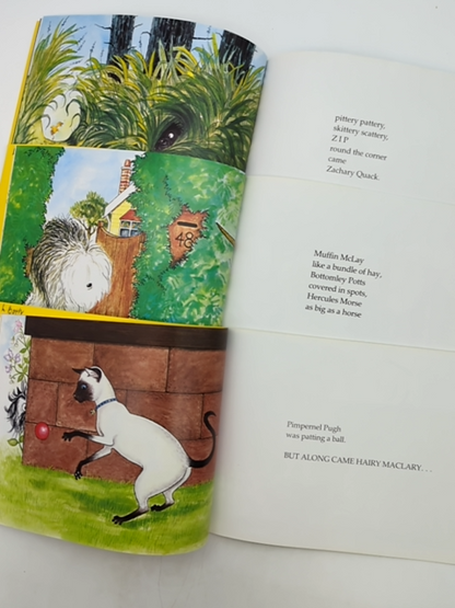 3x Lynley Dodd Paperback Bundle Hariy Maclary from Donaldson's Dairy Scattercat by Lynley Dodd