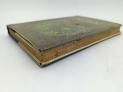South American Fairy Tales by John Meehan (Hardcover, 1970) by John Meehan