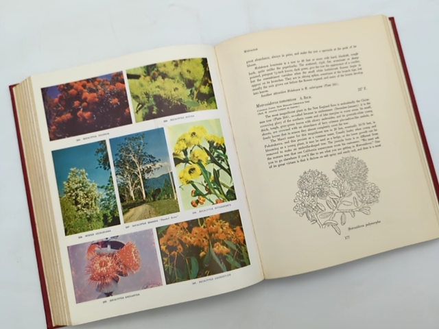 Flowering Trees Of The World by Edwin A Menninger (Hardcover, 1962) by Edwin A Menninger