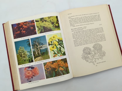 Flowering Trees Of The World by Edwin A Menninger (Hardcover, 1962) by Edwin A Menninger