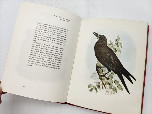 Birds Of Europe Volume Two by John Gould, A. Rutgers, 1966 Illustrated by "John Gould A. Rutgers"