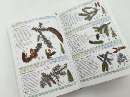Trees by Allen J. Coombes (Hardcover, 1992) Botany, Plant Species Guide by Allen J. Coombes