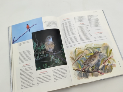 Wildlife Of The Australian Snow-country: Comprehensive Guide To Alpine Fauna, Ke by Ken Green