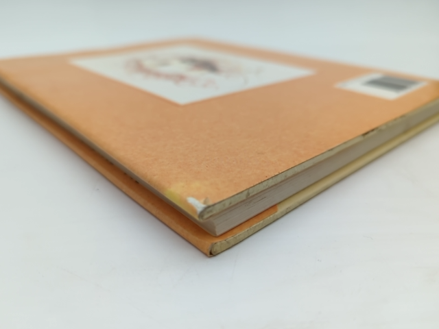 Way Of Looking Lucinda Pearce 1987 Hardcover Vintage Rare by Lucinda Pearce