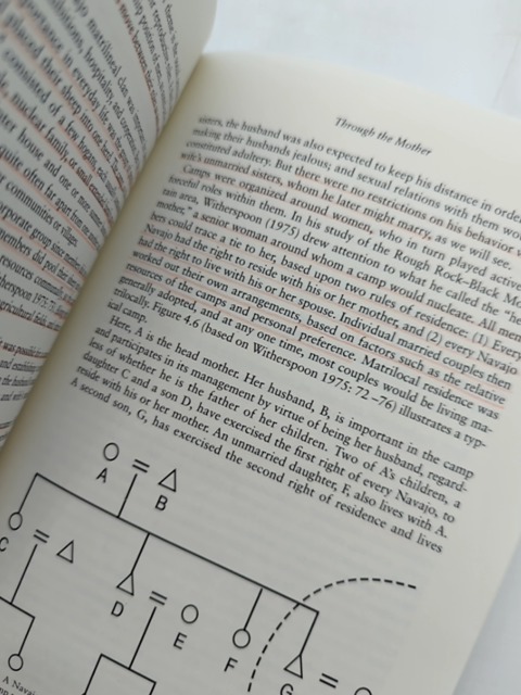 Kinship And Gender: An Introduction by Linda S Stone, Gender Studies by Linda S. Stone
