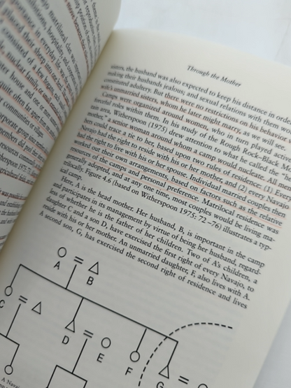 Kinship And Gender: An Introduction by Linda S Stone, Gender Studies by Linda S. Stone