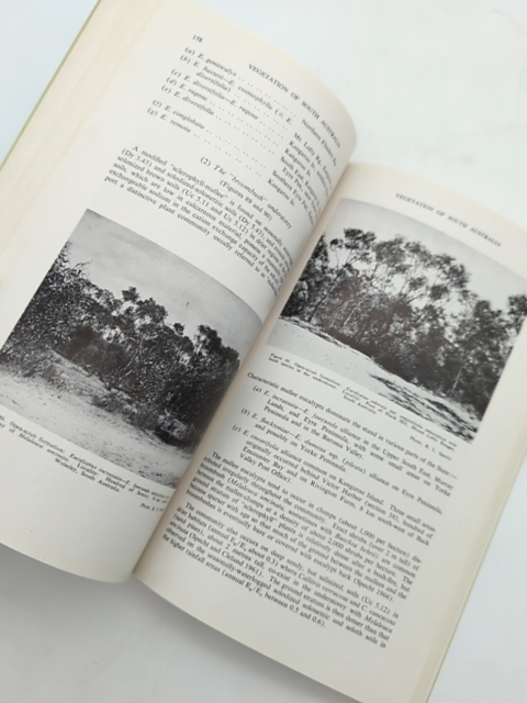 The Vegetation Of South Australia by R L Specht (Paperback, 1972) by R L Specht