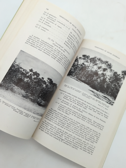 The Vegetation Of South Australia by R L Specht (Paperback, 1972) by R L Specht