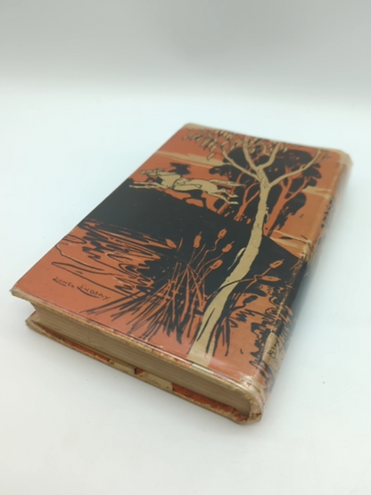 Steve Brown's Bunyip by John Arthur Barry (Hardcover, 1905) Early Aussie Fiction by John Arthur Barry