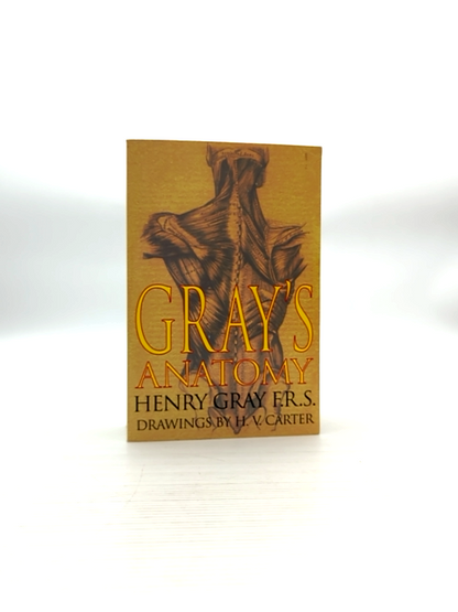 Anatomy Descriptive And Surgical by Henry Gray (Paperback, 2002) Anatomy by Henry Gray
