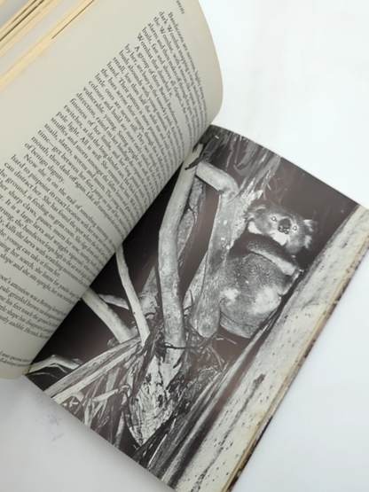 Wildlife Of Eastern Australia by Stanley Breeden, Wildlife Illustrated by Stanley Breeden