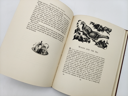 Through The Woods by H E Bates (Cloth, 1936) Natural History by H E Bates