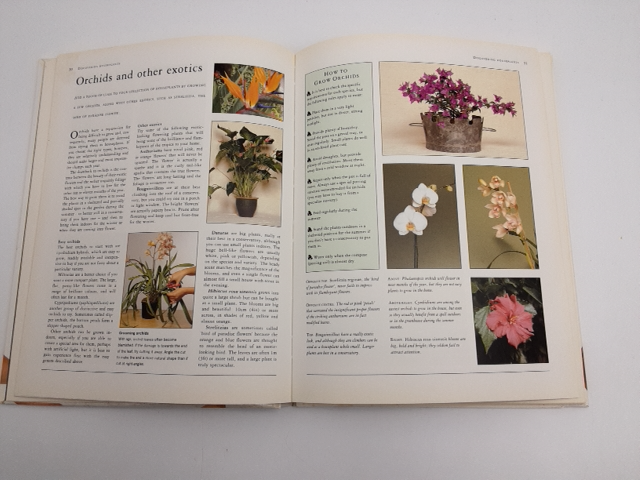 The Houseplant Care Manual: Vintage guide to choosing & nurturing houseplants by Peter McHoy