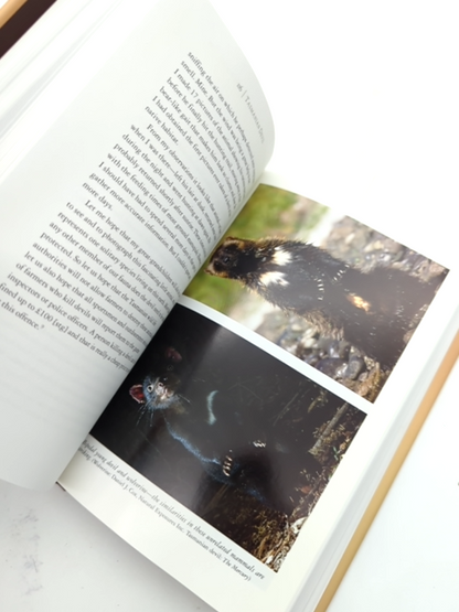 Tasmanian Devil: Unique And Threatened Animal by David Owen & David Pemberton by David Pemberton, David Owen