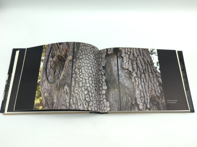 Tree: A New Vision of the American Forest by Jim Balog (Hardcover, 2005) 1st Ed by Jim Balog