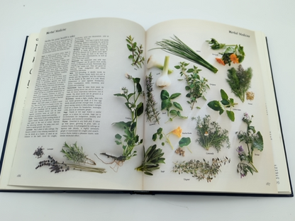 Family Guide to Alternative Medicine by Reader's Digest (Hardcover, 1992) 1st Ed by Reader's Digest