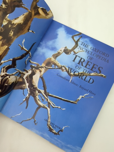 Oxford Encyclopedia Of Trees Of The World by Rh Value Publishing Bayard Hora by Random House Value Publishing Staff, Outlet Book Company Staff