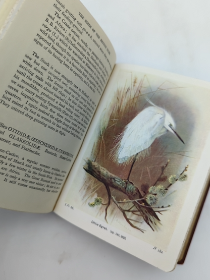 The Birds of the British Isles by T A Coward (Cloth, 1934) Natural History by T A Coward