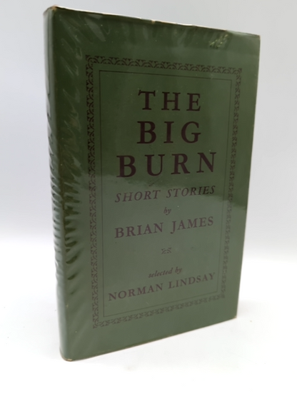 The Big Burn: Short Stories by Brian James (Hardcover, 1965) 1st Edition Vintage by Brian James