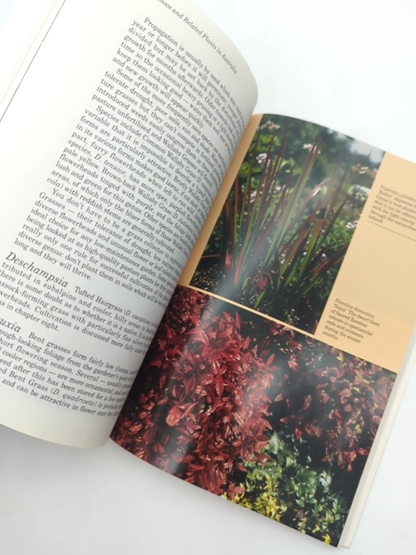 Grasses, Bamboos And Related Plants In Australia by Nick Romanowski, Botany by Nick Romanowski