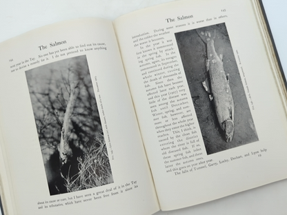 Life-history And Habits Of The Salmon, Sea-trout, Trout, And Other Freshwater Fi by Peter D Malloch