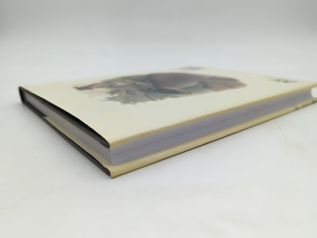 Continent Of Curiosities: Journey Through Australian Natural History, Danielle C by Danielle Clode